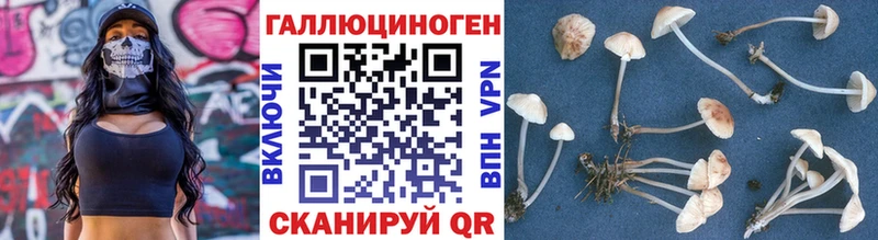 Псилоцибиновые грибы мухоморы  Нязепетровск 